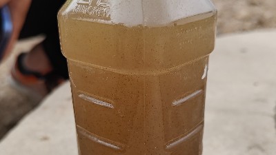 为什么叫活性污泥？