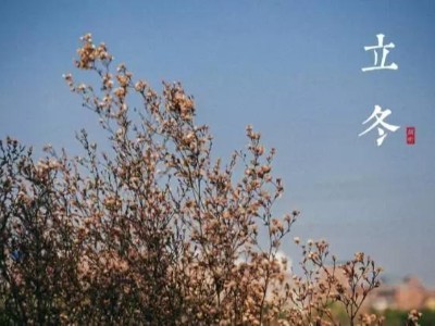 立冬啦