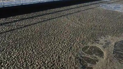 污泥的最终处置方式有哪些？